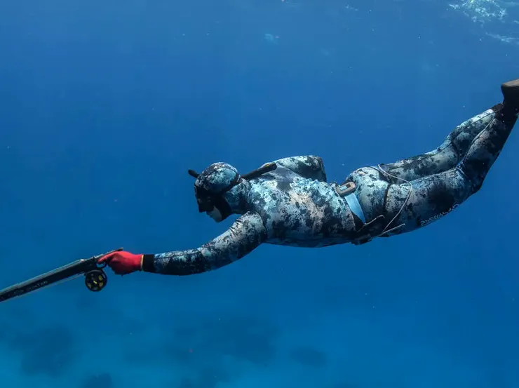 Gaining Spearfishing Knowledge with Guidance from Experts