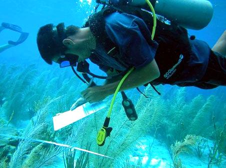 Contribute to Reef Health Assessments to Support Marine Ecosystems