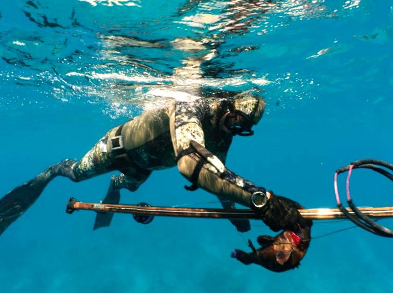 Discovering the Art of Spearfishing with Professionals