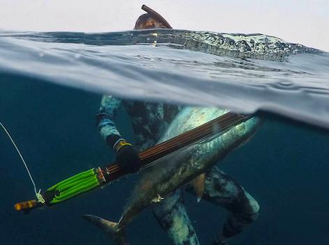 Learning Spearfishing Techniques from Seasoned Experts