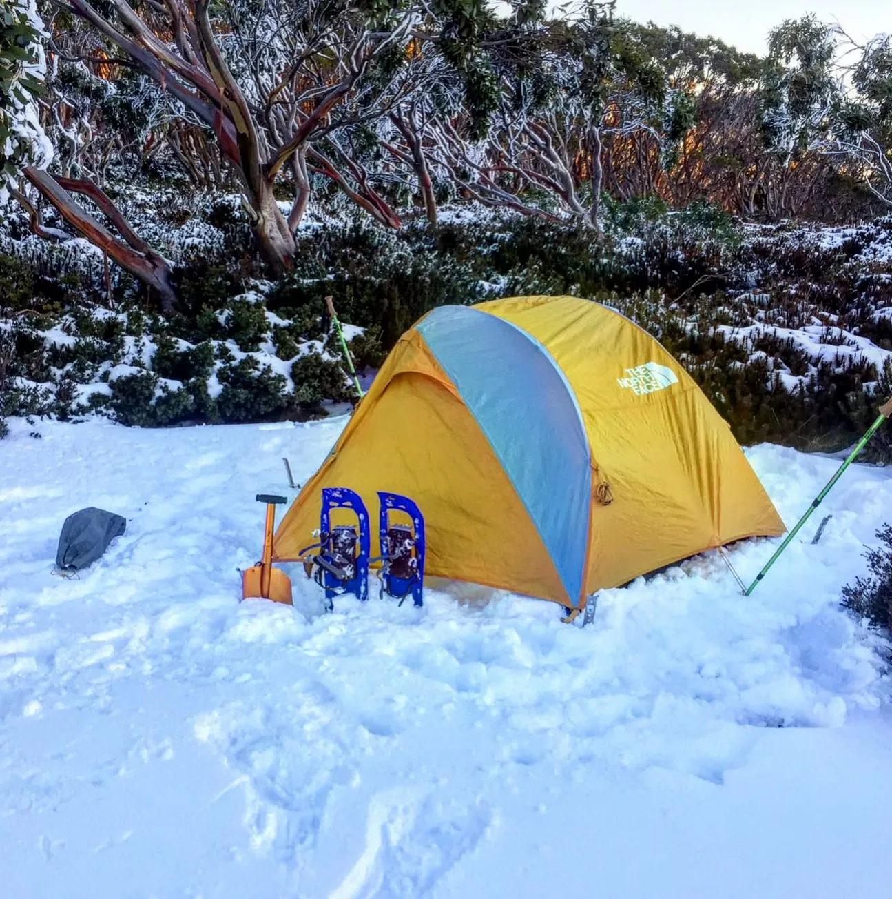Mount Baw Baw