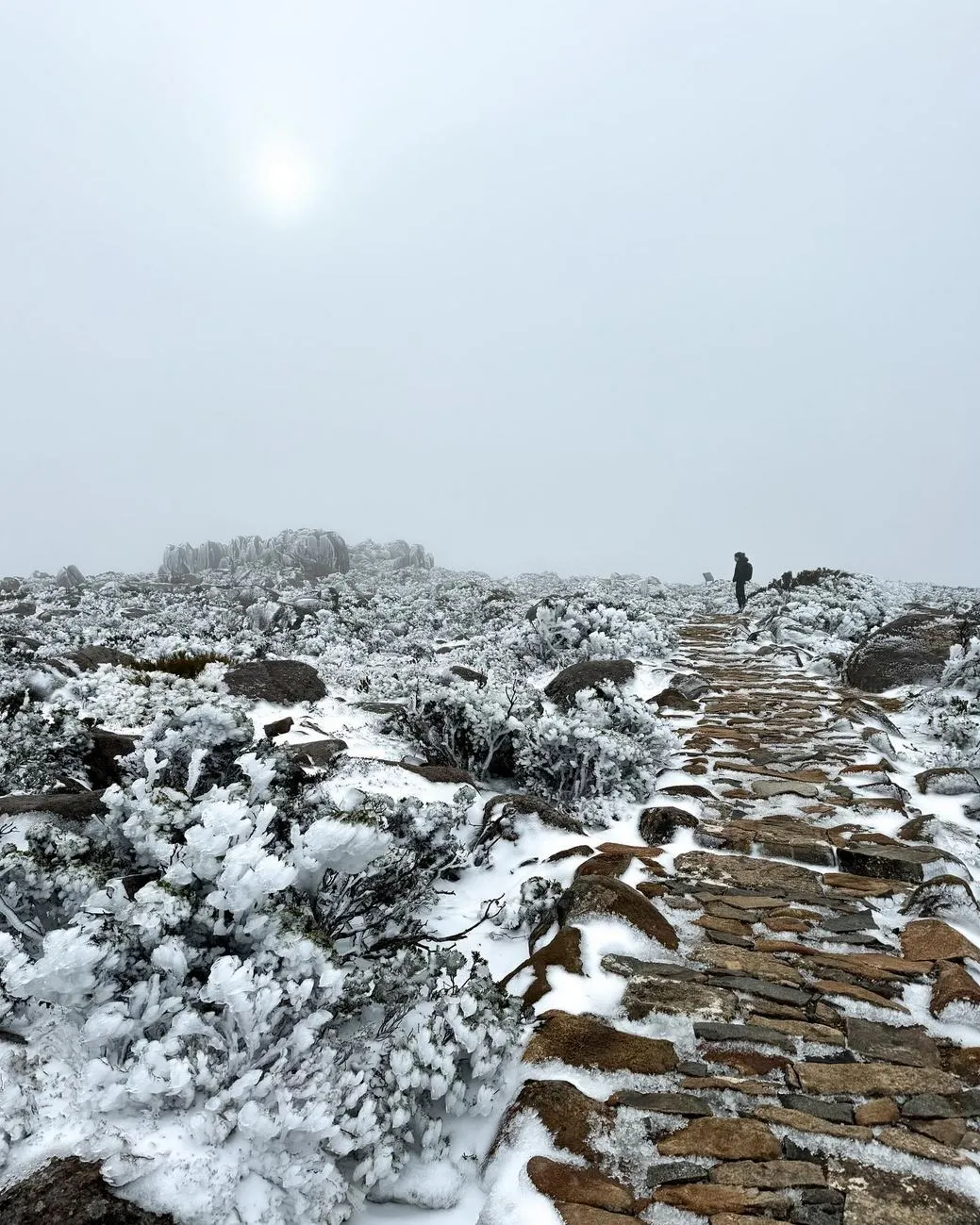 Mount Wellington