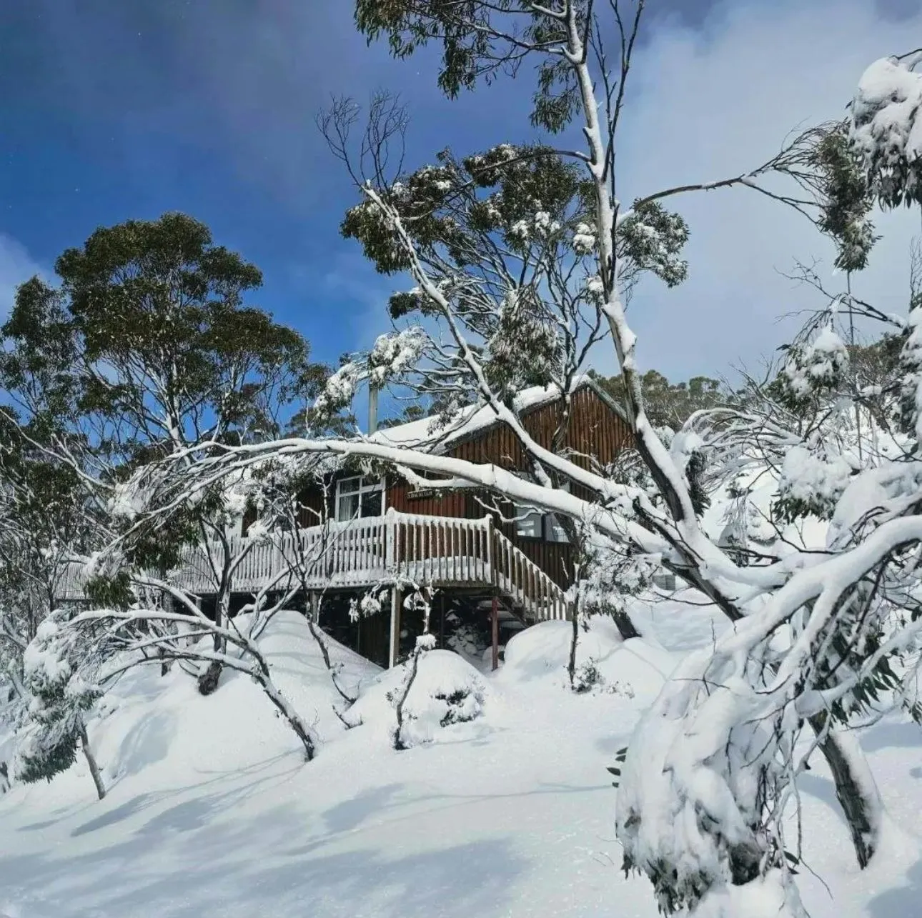 Where Can You See Snow in Australia on a Budget